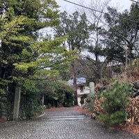L'Arbre - 