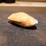 島津 - カワハギ