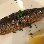 アッピア アルタ 西麻布 - 