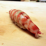 山もと - ＜7月＞車海老