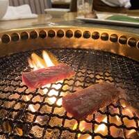 みやび 六本木店 - 