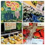 ちょうじ屋 - 豊かな「うりずん」の季節を迎え、生命力を感じる野菜で溢れています。キャベツ山や、青パパイヤも山！