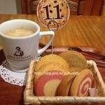 アントステラ - 