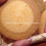 アントステラ - 