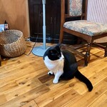 ガレージ ブルーベル - 