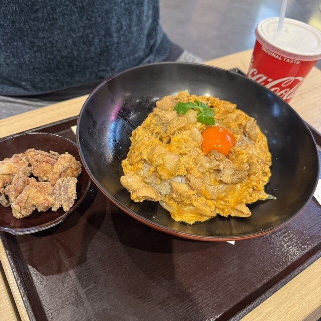 ざくろとブリキの鳥 ざくろとブリキの鳥