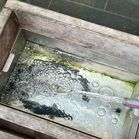 新宿うな鐵 はなれ - 今日は泳いでいたうなぎクン^ ^