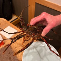 すっぽん ふぐ 日本料理 新宿あぐら屋 - 