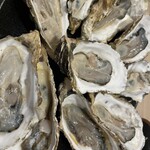 かきのおきて - 