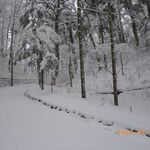 信州味噌らーめん 喜悦 - 