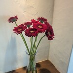 オーシャン ハーベスト ココモ - 