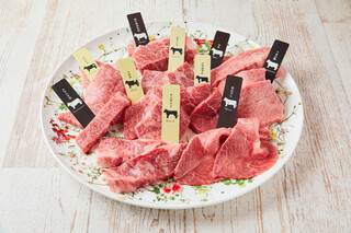 Jukusei Wagyu Yakiniku Aging Beef Karuizawa - 10 Special Assorted Aged Wagyu