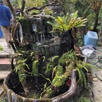 沖縄そば 森の家 - 