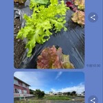 ビストロボンノ - 