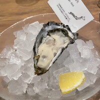 Oysterbar&Wine BELON 渋谷店 - 