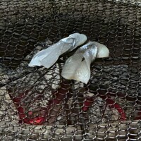 お料理 佐藤 - 