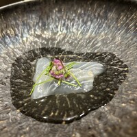 鮨 無垢/鮨 白銀 - 