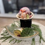 五味五感 時乃間 - 