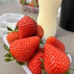 果樹花ふぁーむ - 摘みたていちご