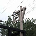 Cernia - 通り過ぎてしまった