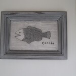 Cernia - ランチ12時過ぎ一斉スタート