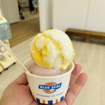 川平マリンサービス - 