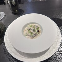 Élan - 