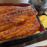 鰻の寝床 うな福 - 