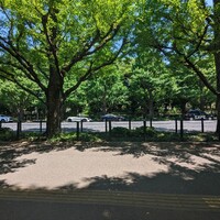 キハチ 青山本店 - 