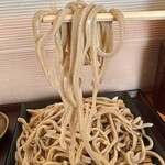 一生 - 冷たくギュッと締まった、旨みの濃い蕎麦
