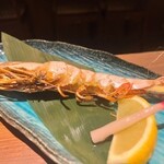 炭炉ばた こみ哉 松山 - 