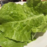 元祖ちぢみの王様 - 包み野菜