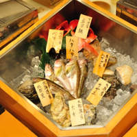 寿司孝 本店 - ネタ箱
