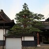 信州善光寺 薬王院