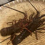 磯料理 辻 - 