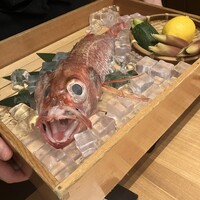 のどぐろ専門 銀座 中俣 - 