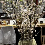 煮干しのビリー - 