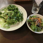 日替わりパスタセット・ツナのサラダ風冷製パスタ（通常1,000円・ランチパスポートで500円）