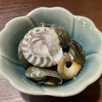 貝賊 - 突き出し　ナガラミガイ　あまり流通していない貝類