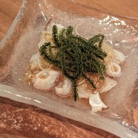 SHIKAKU - 