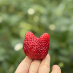 姫路ハートフル観光農園 - 