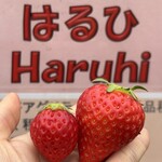 姫路ハートフル観光農園 - 