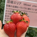 姫路ハートフル観光農園 - 