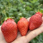 姫路ハートフル観光農園 - 