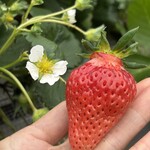 姫路ハートフル観光農園 - 