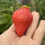 姫路ハートフル観光農園 - 