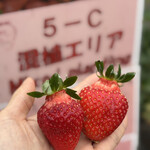 姫路ハートフル観光農園 - 