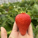 姫路ハートフル観光農園 - 