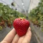 姫路ハートフル観光農園 - 