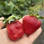 姫路ハートフル観光農園 - 